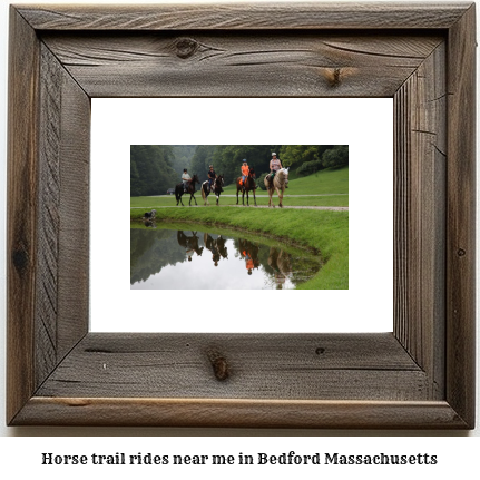 horse trail rides near me in Bedford, Massachusetts